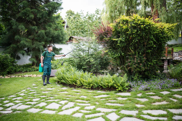 Best Residential Pest Control  in Corning, AR