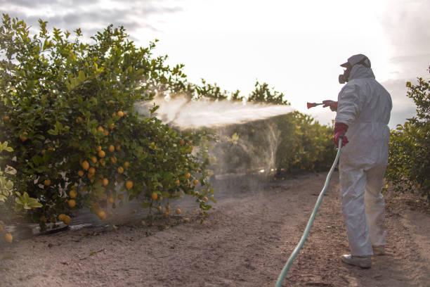 Best Best Pest Control Companies  in Corning, AR