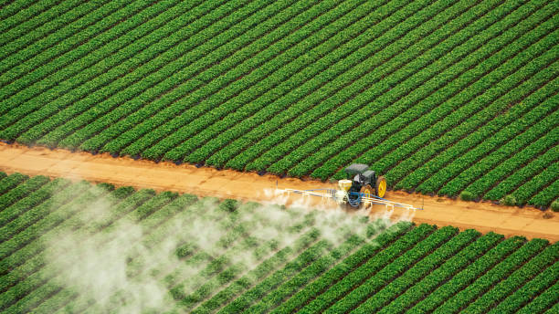 Pest Control for Restaurants in Corning, AR