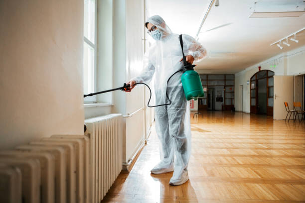 Best Mosquito Control Services  in Corning, AR
